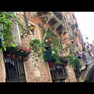 Meet your Posher, Lily